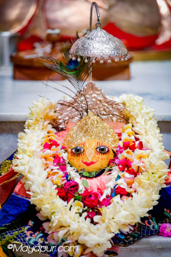 Daily Darshan