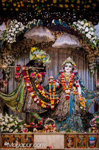 Daily Darshan