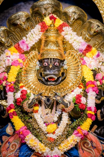 Daily Darshan