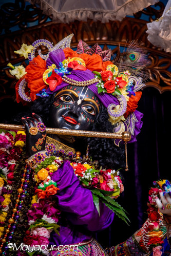 Daily Darshan