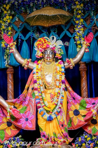Daily Darshan