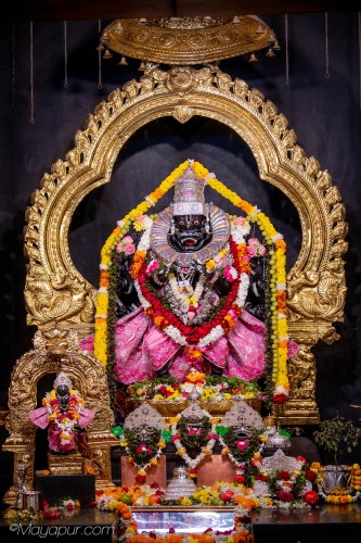 Daily Darshan