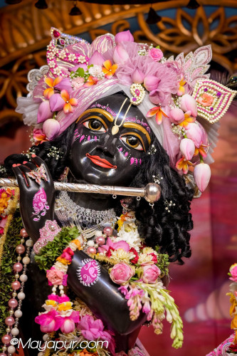 Daily Darshan