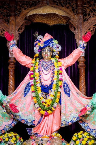 Daily Darshan