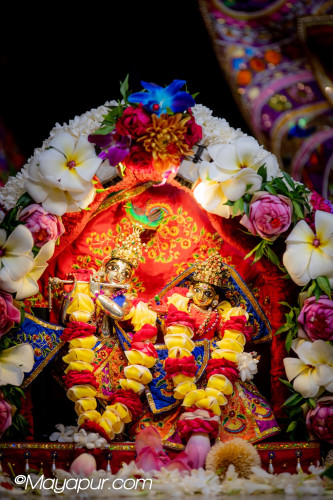 Daily Darshan