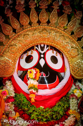 Daily Darshan