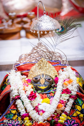 Daily Darshan