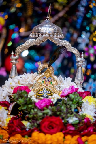 Daily Darshan