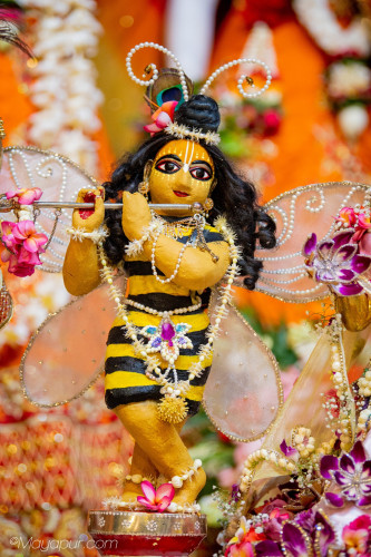Daily Darshan