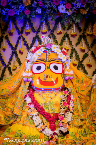 Daily Darshan