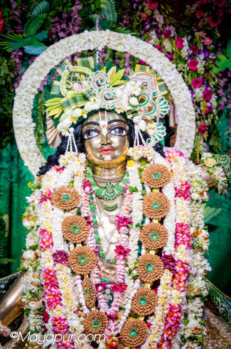 Daily Darshan
