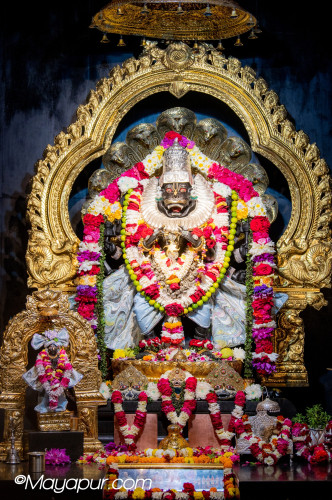Daily Darshan