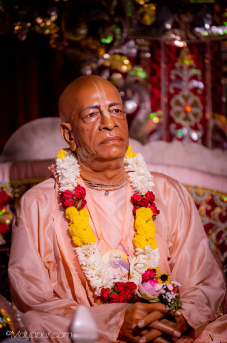 Daily Darshan