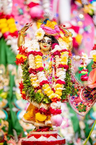 Daily Darshan
