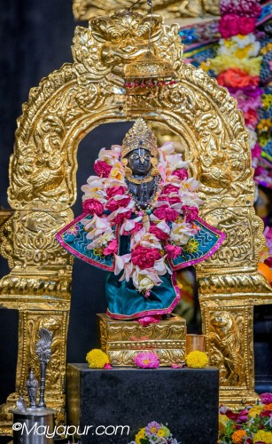 Daily Darshan
