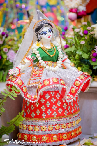 Daily Darshan