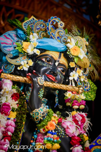 Daily Darshan