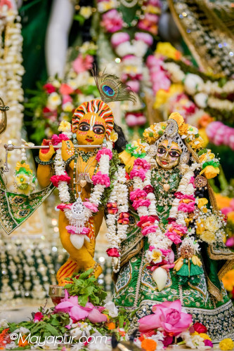 Daily Darshan