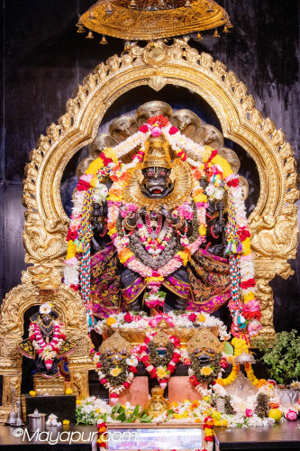Daily Darshan