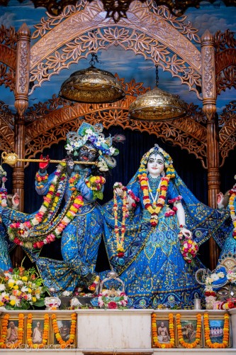 Daily Darshan