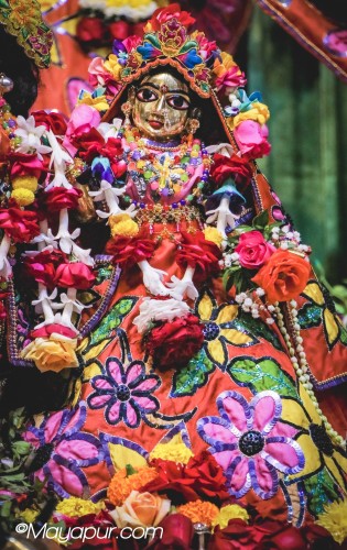 Daily Darshan