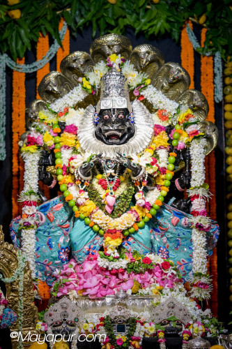 Daily Darshan