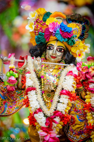 Daily Darshan