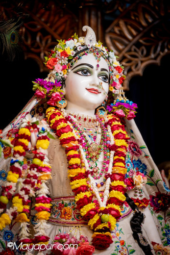 Daily Darshan