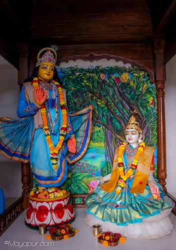 Daily Darshan