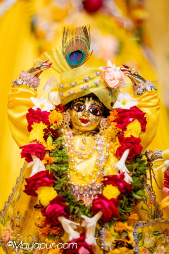 Daily Darshan
