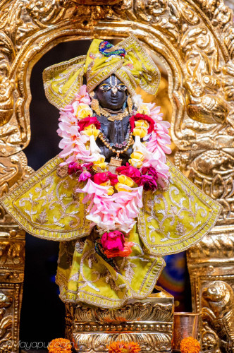 Daily Darshan