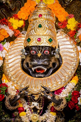 Daily Darshan