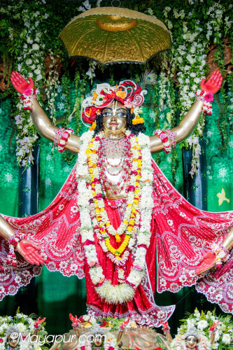 Daily Darshan