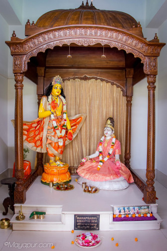 Daily Darshan