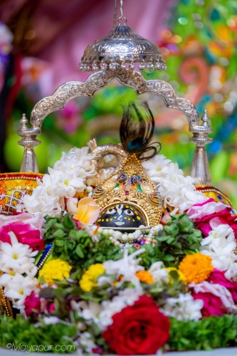 Daily Darshan