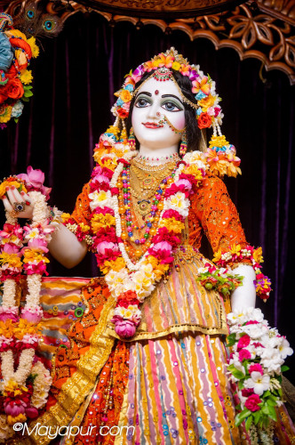 Daily Darshan